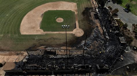 wooden stakes home depot|‘A League of Their Own’ Grandstand Destroyed in Fire .